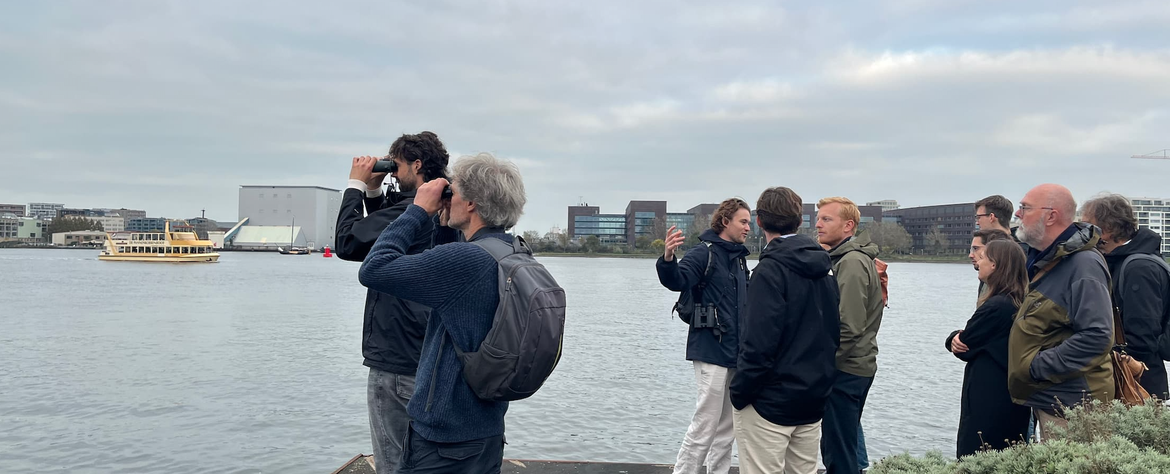 Dichtbij de zee